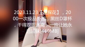 2023.11.23【赵探花】，2000一次极品外围，黑丝D罩杯，干得双眼迷离，一炮让她永远回味[460MB]