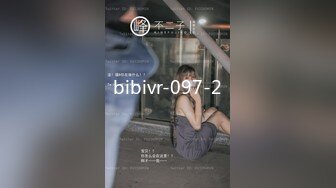 bibivr-097-2