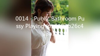 0014 - Public Bathroom Pussy Playing (ph6192b26c413a1)