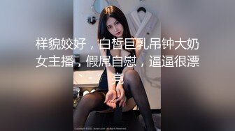 样貌姣好，白皙巨乳吊钟大奶女主播，假屌自慰，逼逼很漂亮