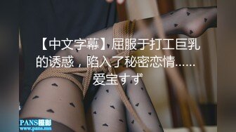 【中文字幕】屈服于打工巨乳的诱惑，陷入了秘密恋情…… 爱宝すず