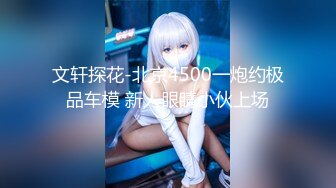 文轩探花-北京4500一炮约极品车模 新人眼睛小伙上场