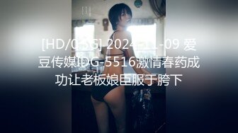 [HD/0.5G] 2024-11-09 爱豆传媒IDG-5516激情春药成功让老板娘臣服于胯下