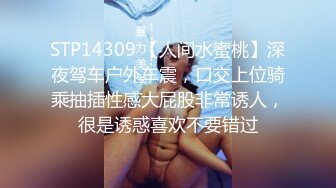 STP14309 【人间水蜜桃】深夜驾车户外车震，口交上位骑乘抽插性感大屁股非常诱人，很是诱惑喜欢不要错过