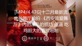 [MP4/4.47G]十二月最新流出砂舞厅偷拍 《西安简爱舞厅》内的淫乱的抓奶 抠逼 吃鸡胆大的直接啪啪