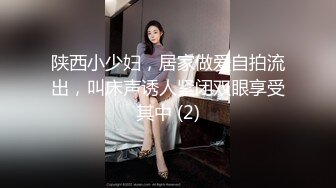 陕西小少妇，居家做爱自拍流出，叫床声诱人紧闭双眼享受其中 (2)