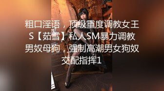 粗口淫语，顶级重度调教女王S【茹雪】私人SM暴力调教男奴母狗，强制高潮男女狗奴交配指挥1