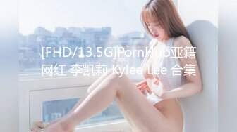 [FHD/13.5G]PornHub亚籍网红 李凯莉 Kylee Lee 合集