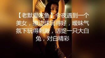 【老默爱吃鱼】今夜遇到一个美女，擦边球玩得好，暧昧气氛下玩得刺激，活捉一只大白兔，对白精彩