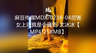 麻豆传媒MDX-0238-04厉害女上司竟是个骚货-文冰冰【MP4/258MB】