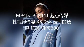 [MP4]STP28441 起点传媒 性视界传媒 XSJ058 嫂子的诱惑 斑斑 VIP0600