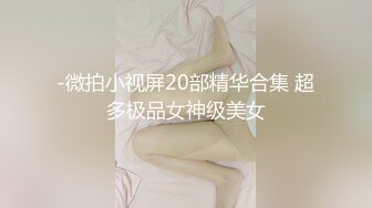 -微拍小视屏20部精华合集 超多极品女神级美女