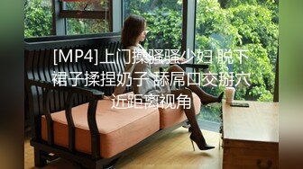 [MP4]上门操骚骚少妇 脱下裙子揉捏奶子 舔屌口交掰穴近距离视角