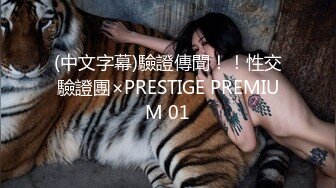 (中文字幕)驗證傳聞！！性交驗證團×PRESTIGE PREMIUM 01