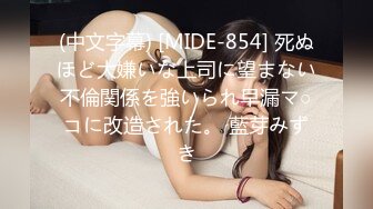 (中文字幕) [MIDE-854] 死ぬほど大嫌いな上司に望まない不倫関係を強いられ早漏マ○コに改造された。 藍芽みずき