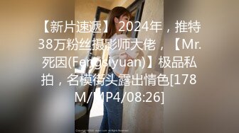 【新片速遞】 2024年，推特38万粉丝摄影师大佬，【Mr.死因(Fengsiyuan)】极品私拍，名模街头露出情色[178M/MP4/08:26]