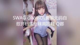 SWAG 小秘书OL套装无码自慰开档黑丝袜高跟鞋 Q娜