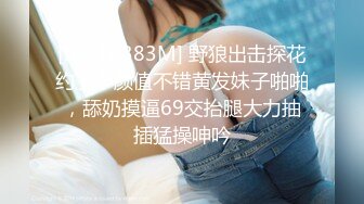 [MP4/ 383M] 野狼出击探花约了个颜值不错黄发妹子啪啪，舔奶摸逼69交抬腿大力抽插猛操呻吟